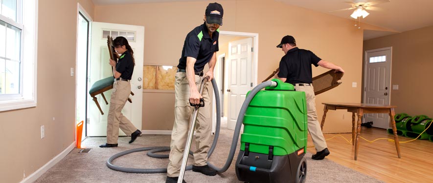 West Bronx, NY cleaning services